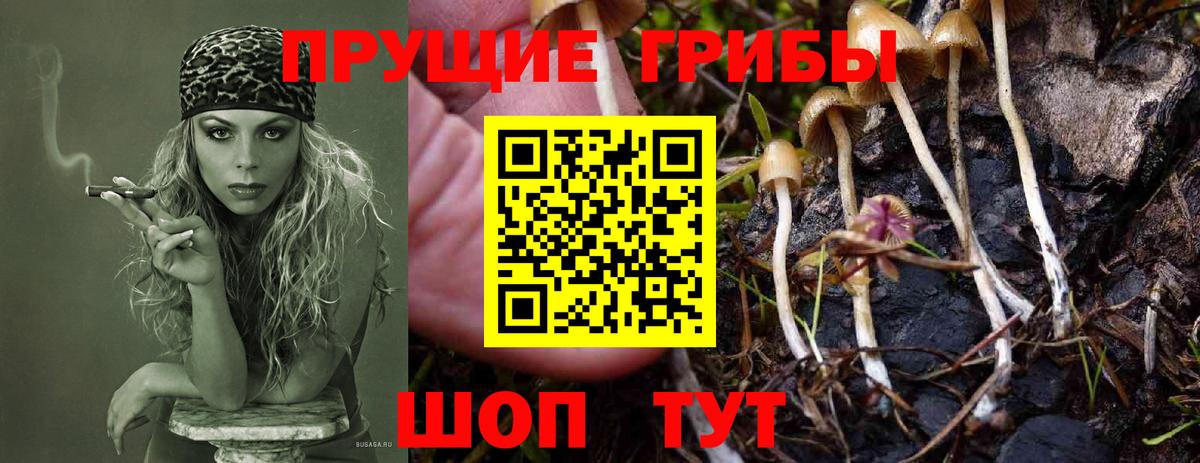 Галлюциногенные грибы мухоморы Лосино-Петровский